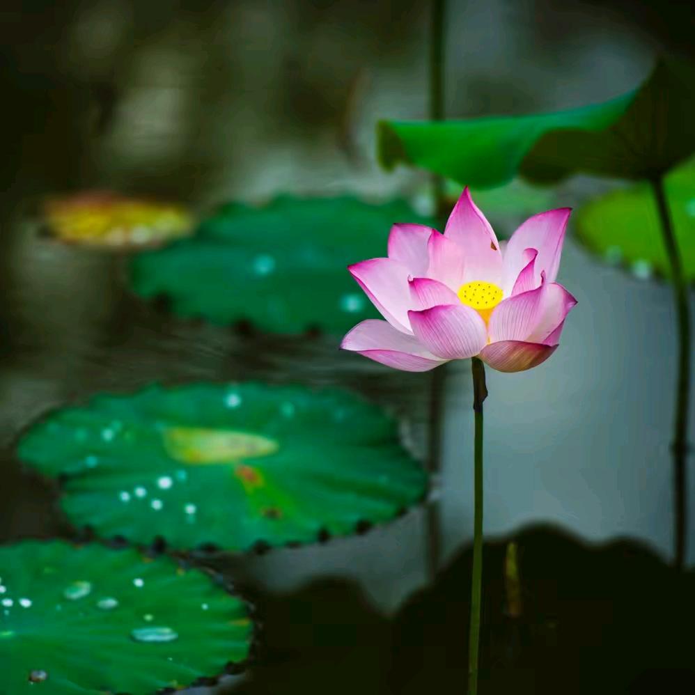 ཽཽཽཽཽ༒༃晴空万李ཽ༒༃