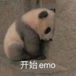 别再emo了