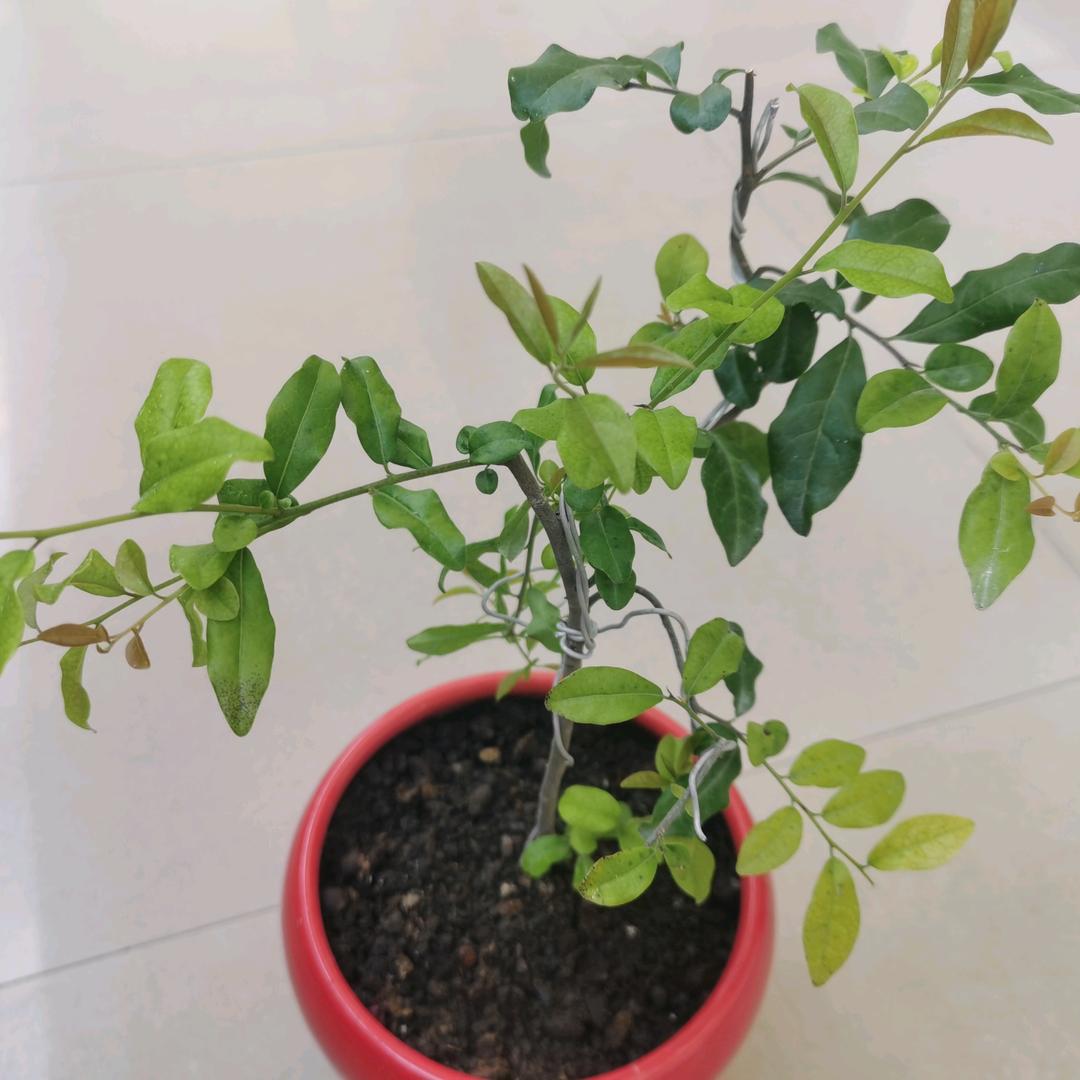 亲贤臣，远小人。