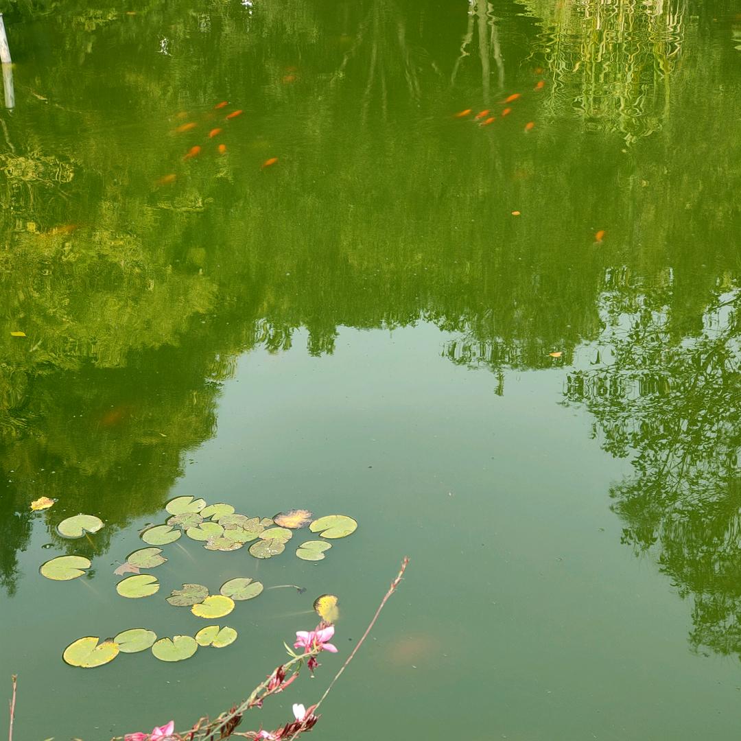 闭关