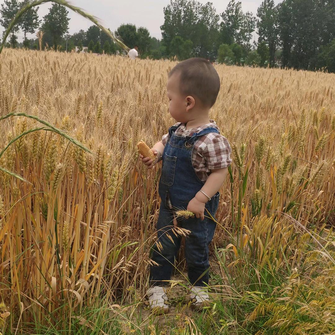 ╰☆开心の纪☆╮