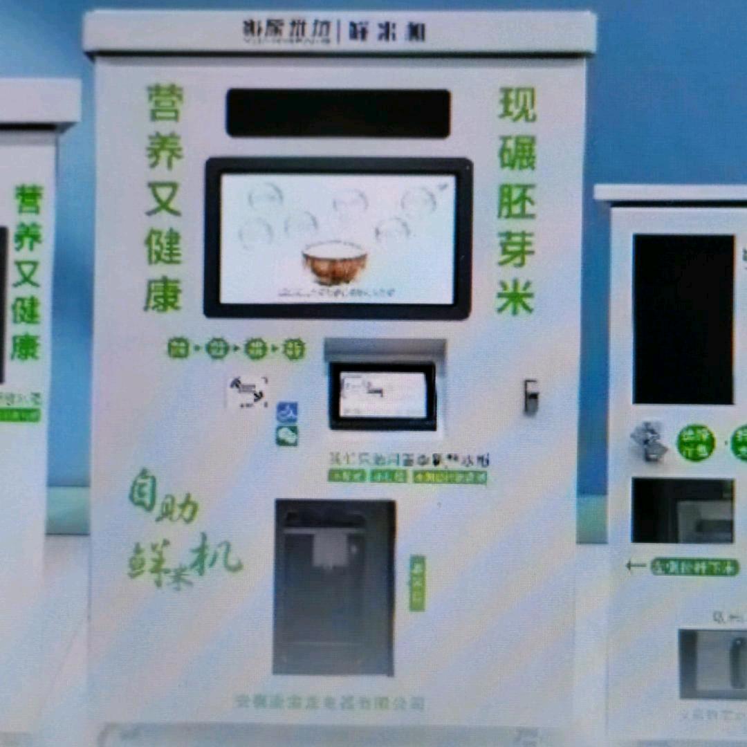 现碾胚芽米店