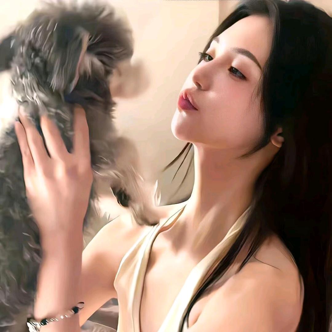倦倦