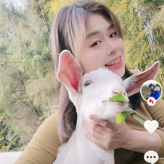 放羊小妹｡◕‿◕｡