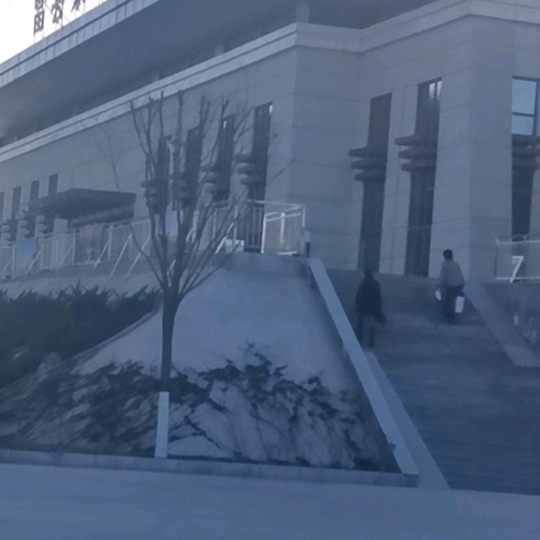三只熊