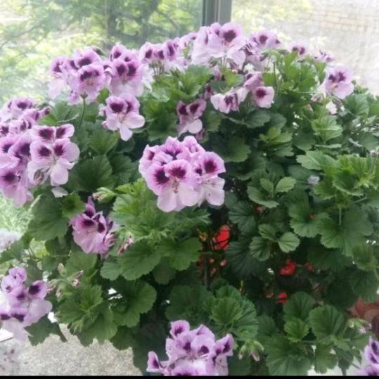 其实我很在乎你