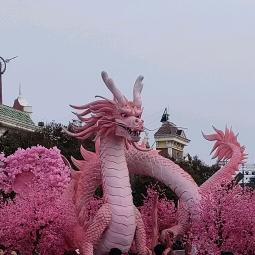 花开☁️汐