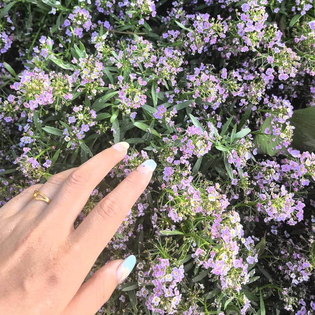 棠芈饰品玩具精选店