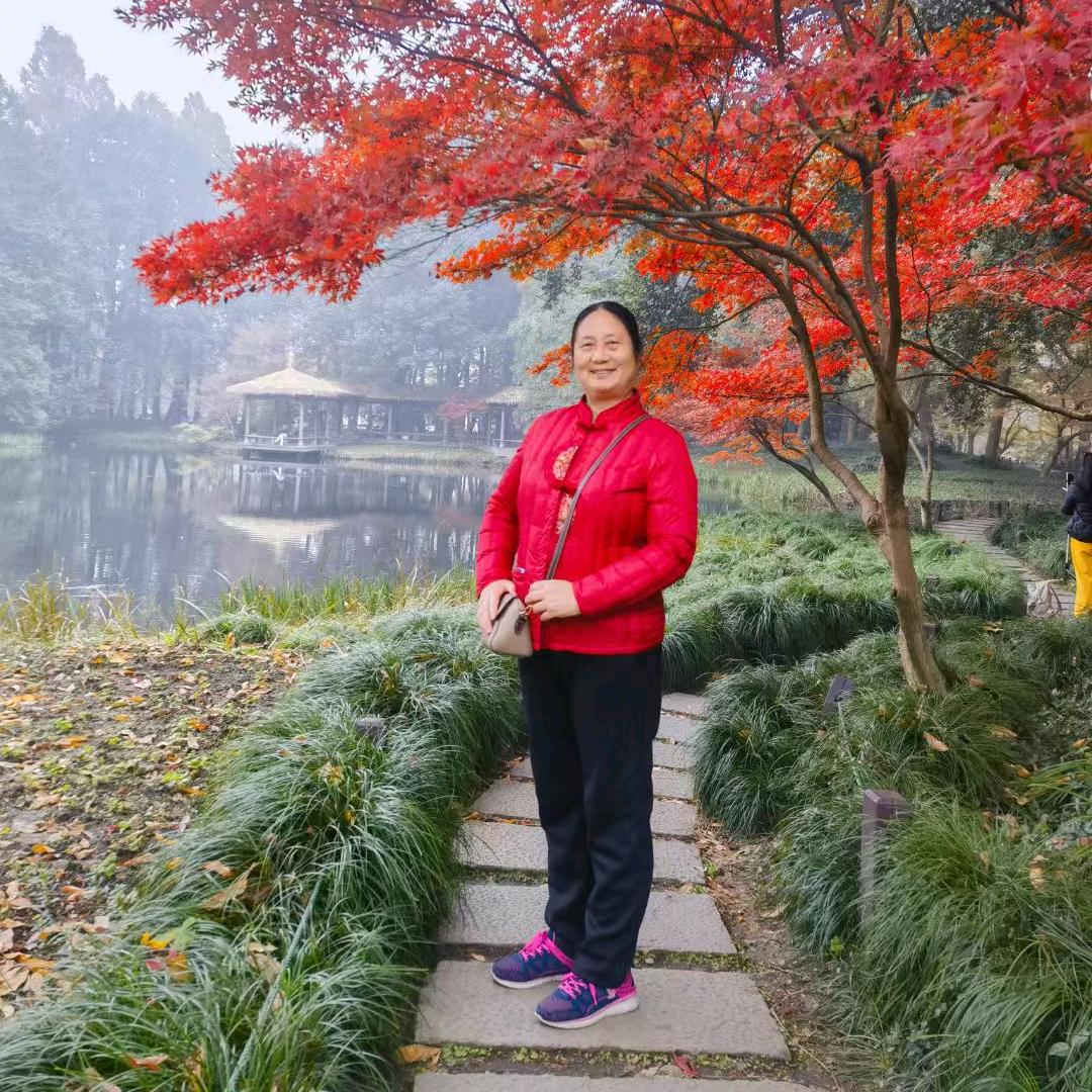 织梦行云（63年的兔）