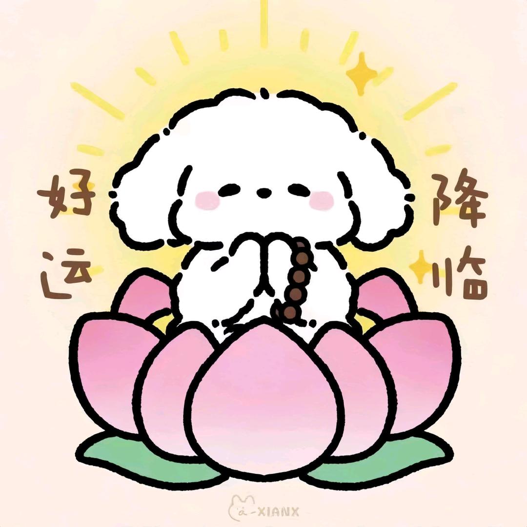 倪倪