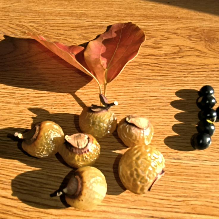 豆瓣