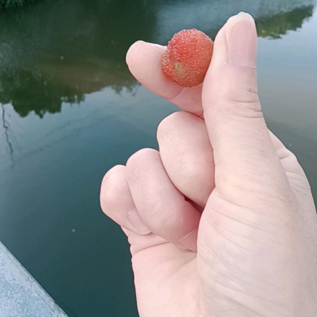 缘分天注定，半点不由人