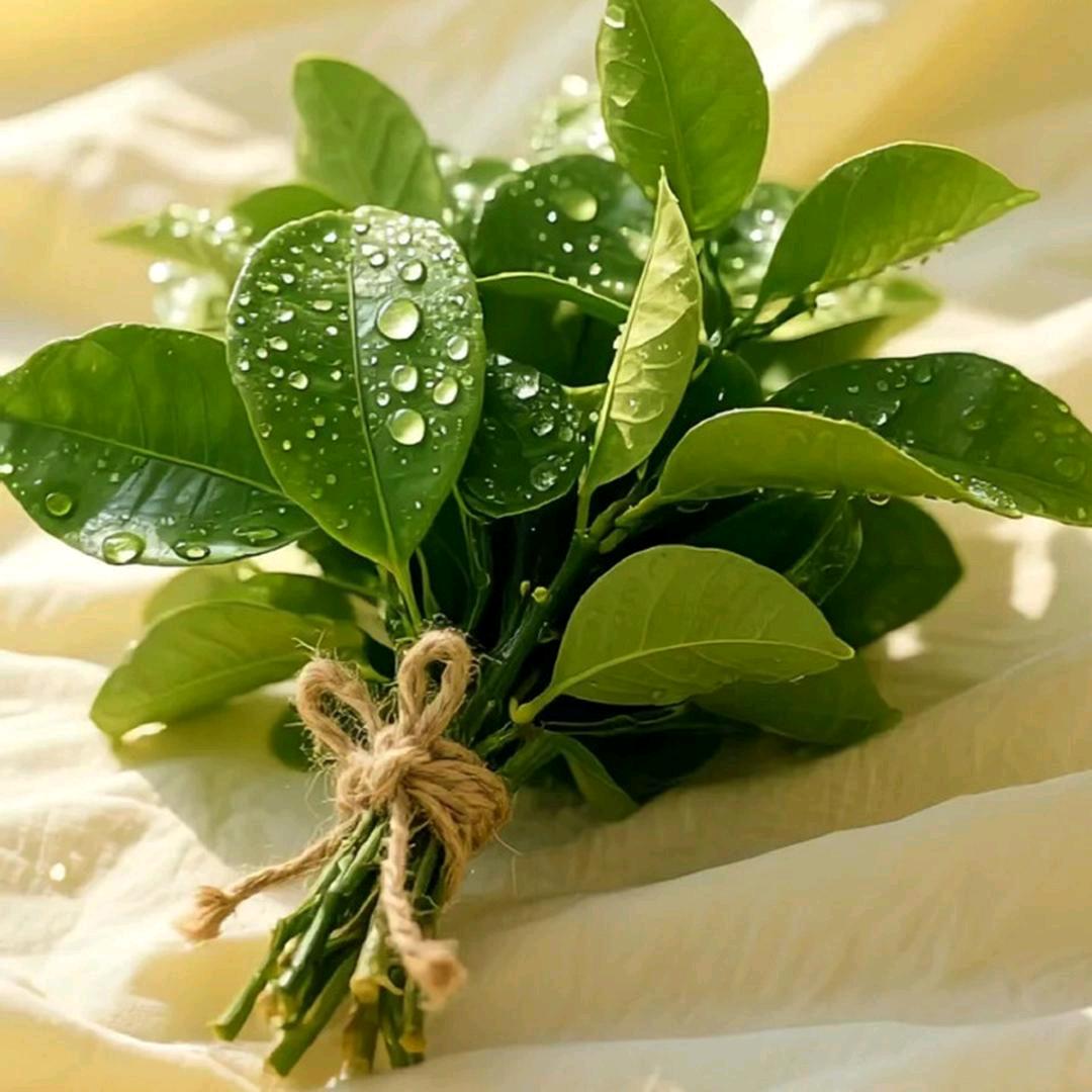 屋顶上的绿宝石