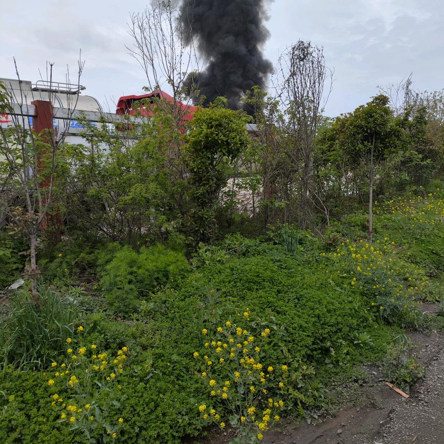 一路走来真的不容易。