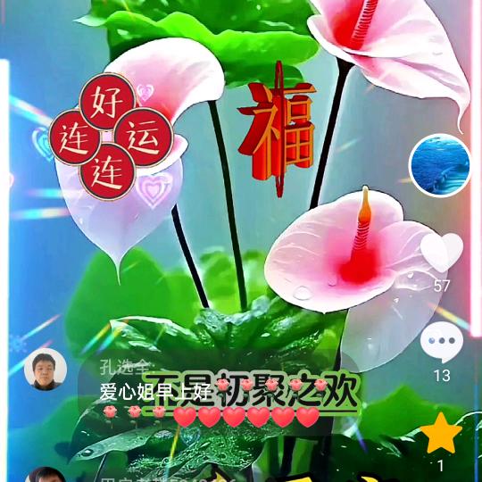 爱心姐