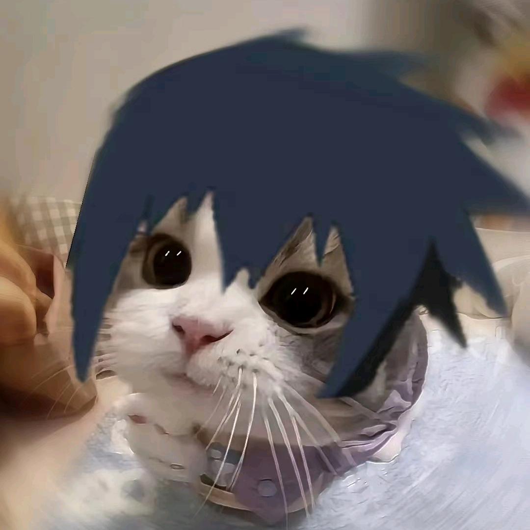宇智波.佐猫
