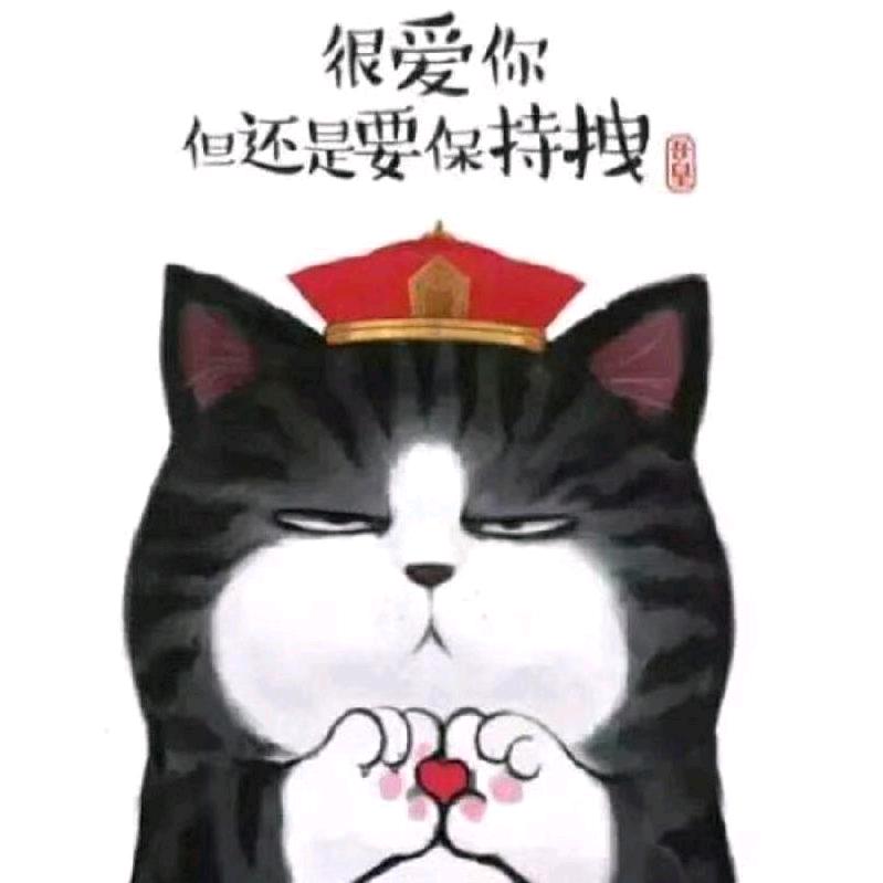 奶兔没机也没智