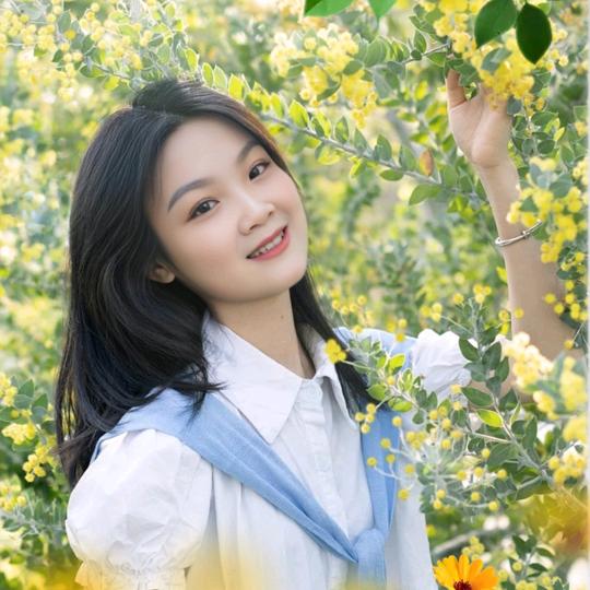 小迷妹