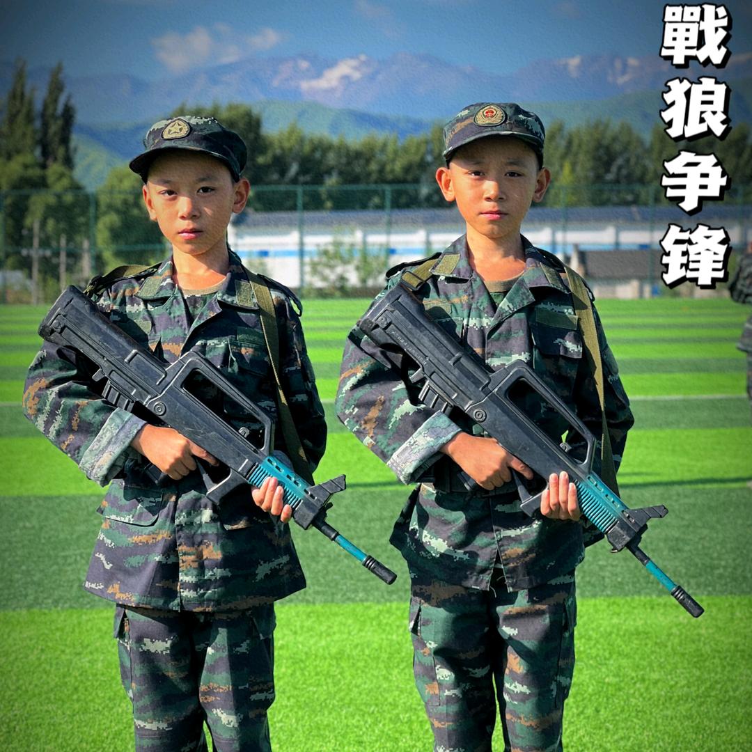 新疆鸿艺盛疆景观、护栏、标识制造有限公司