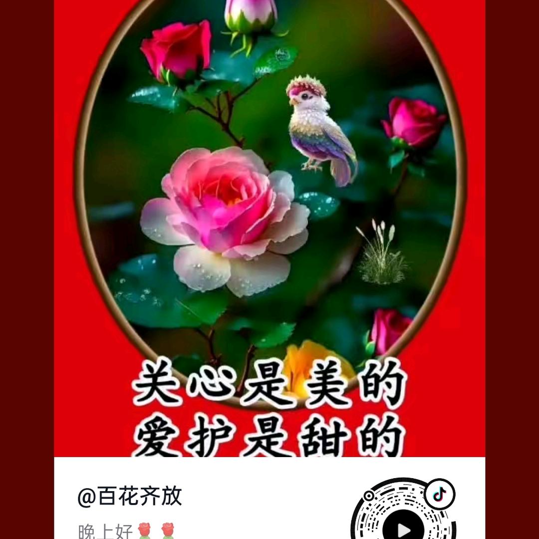 小张🎉专业孝歌🎉