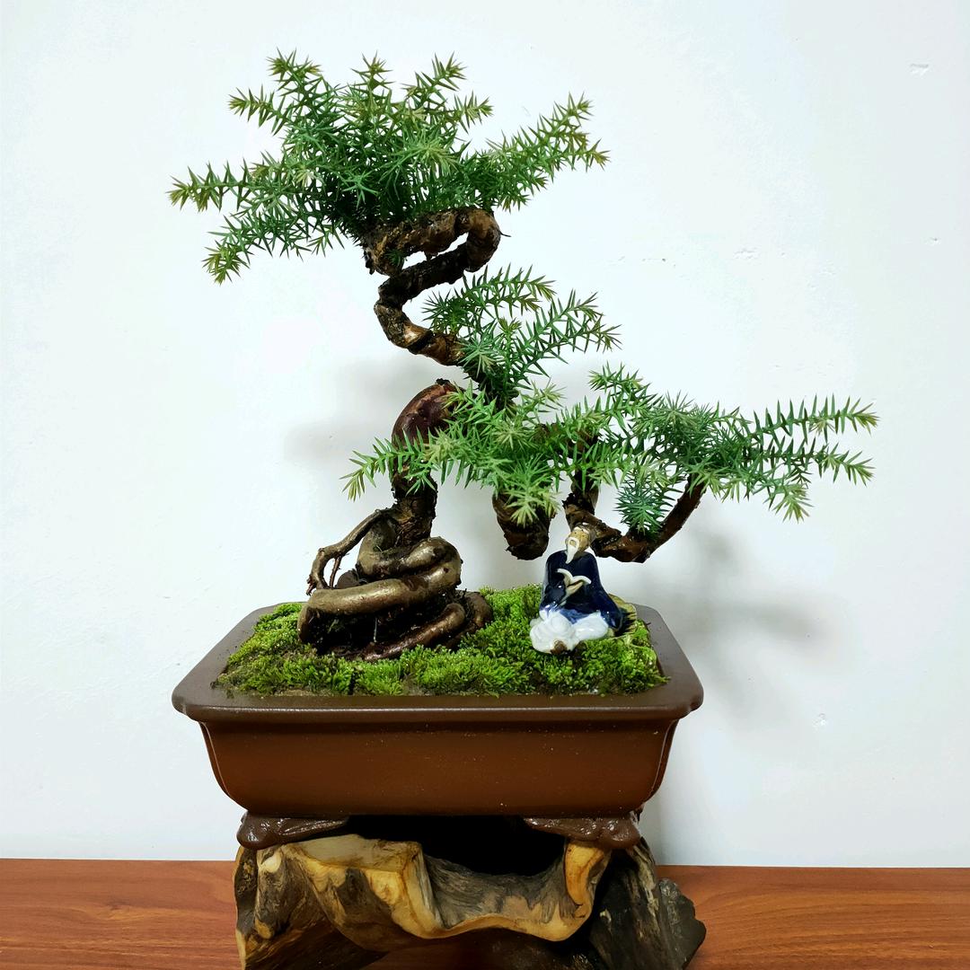家旺园艺场