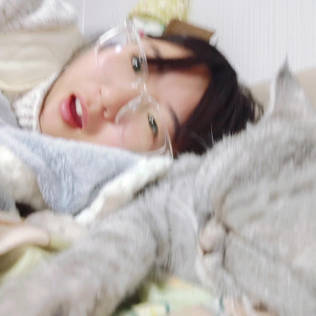 柿子李子栗子梨