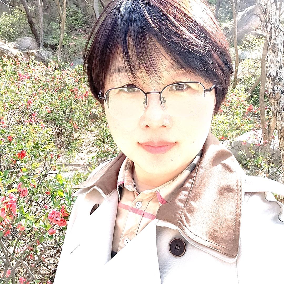 南飞雁