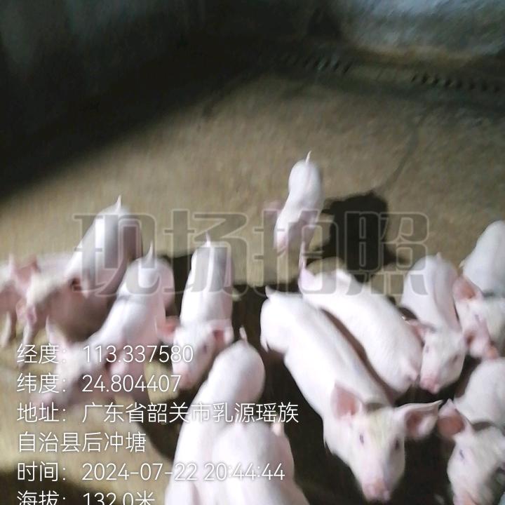 握不住的沙