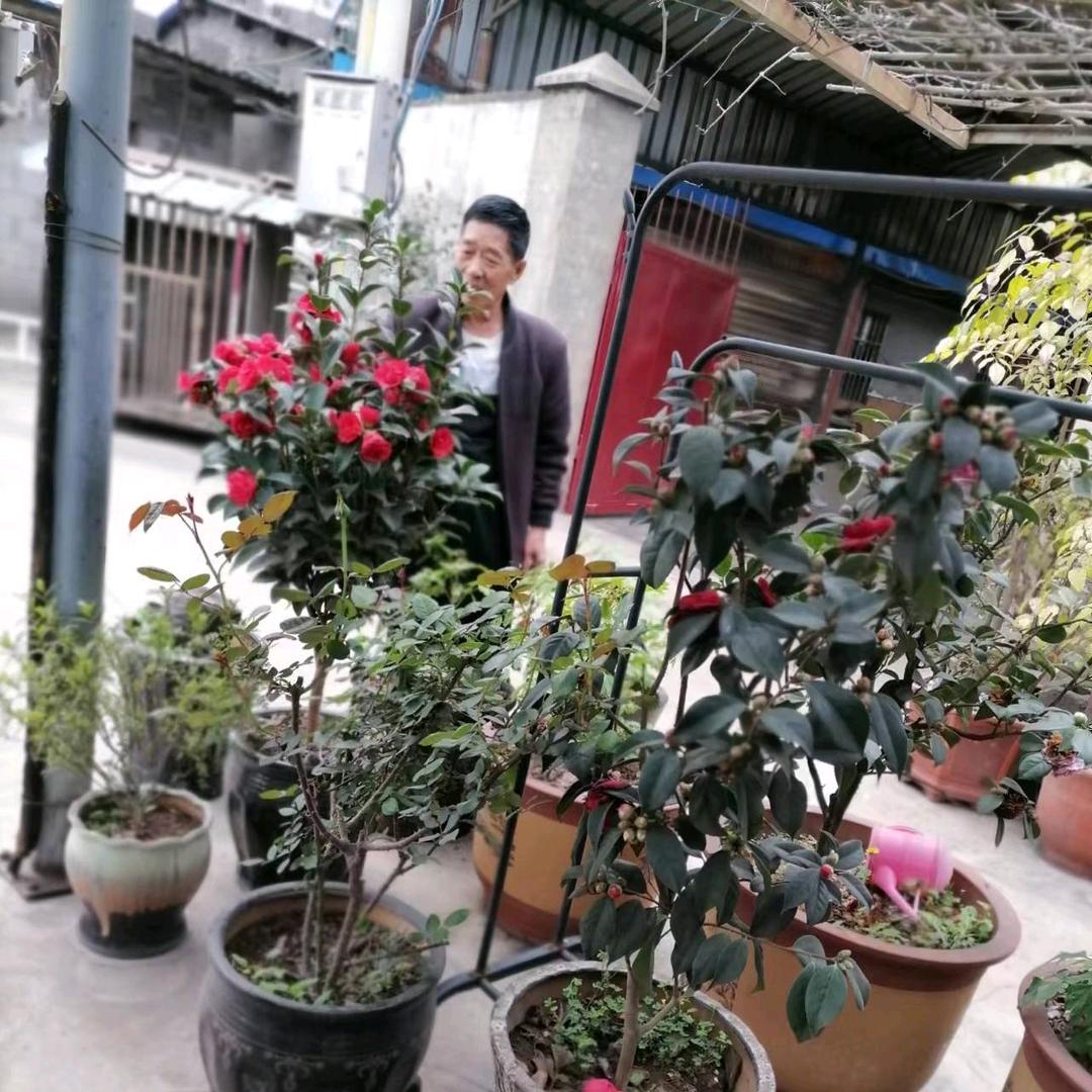 张忠德