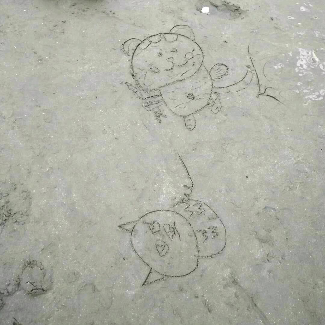 木棉花