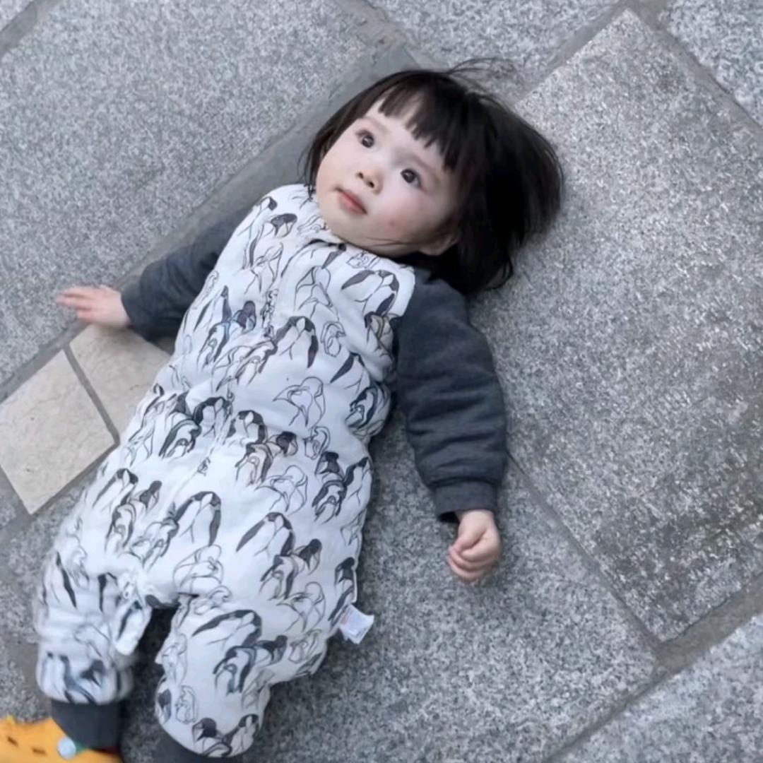 偷瓜的猹