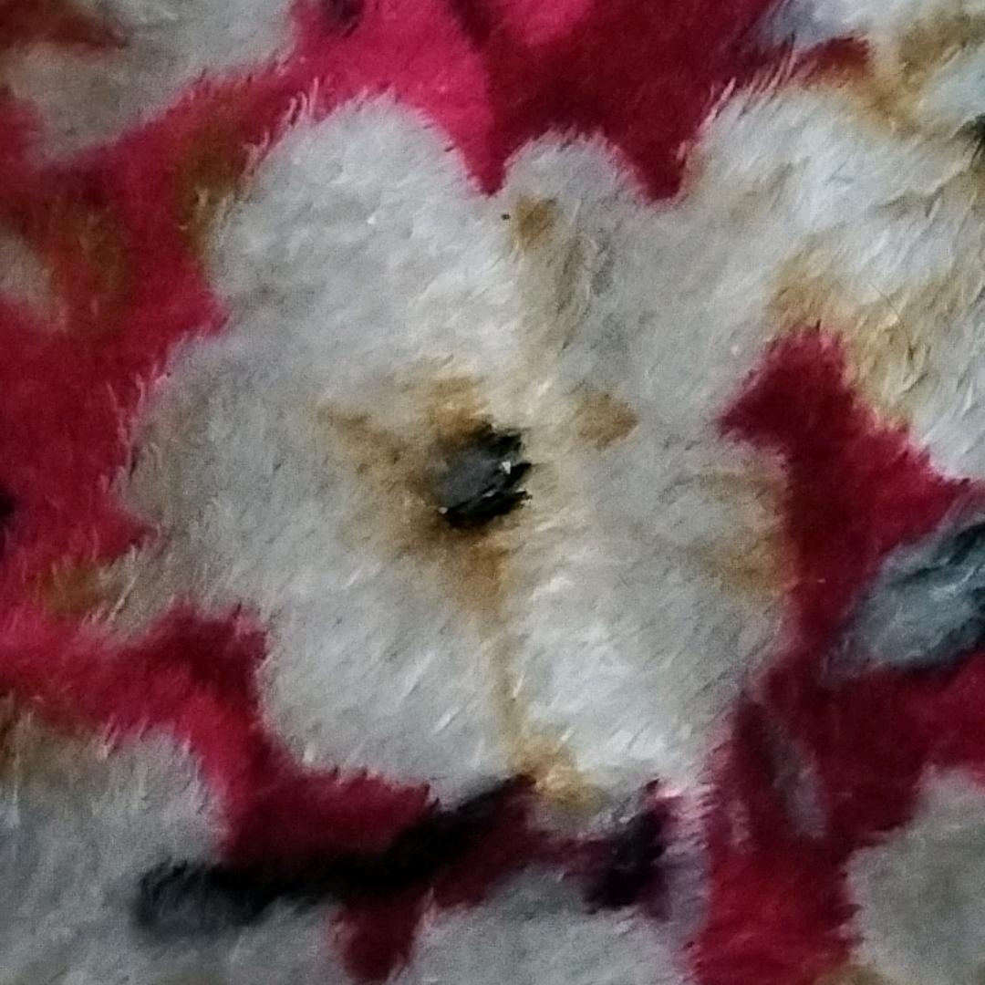 一个无情的杀手