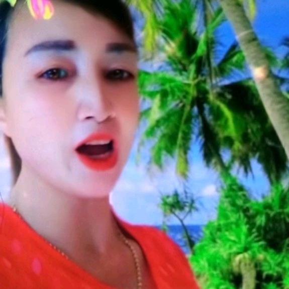 花落花开