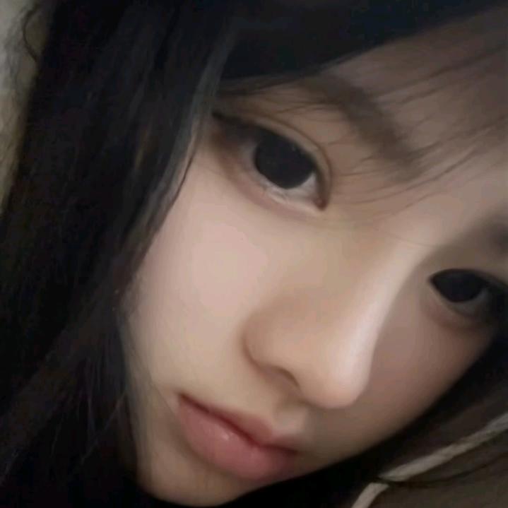 呆呆呆