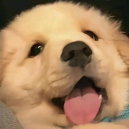 a然