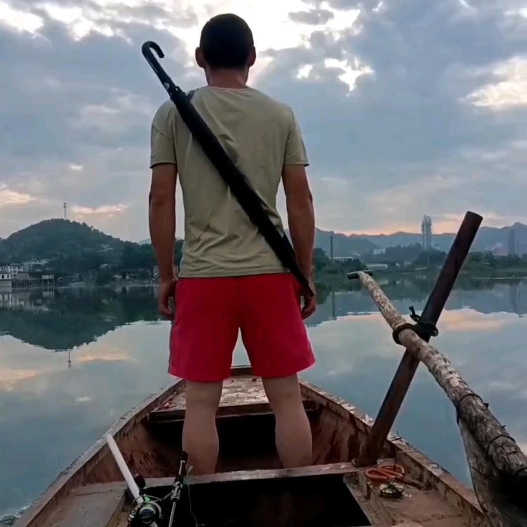 蜂的记忆(酷爱户外)