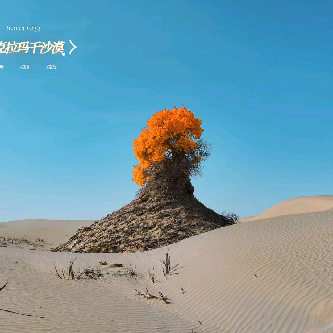 新疆疆山无忧旅行社有限公司-西域星驰