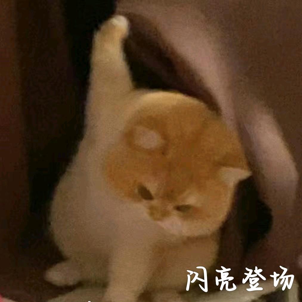 愈云