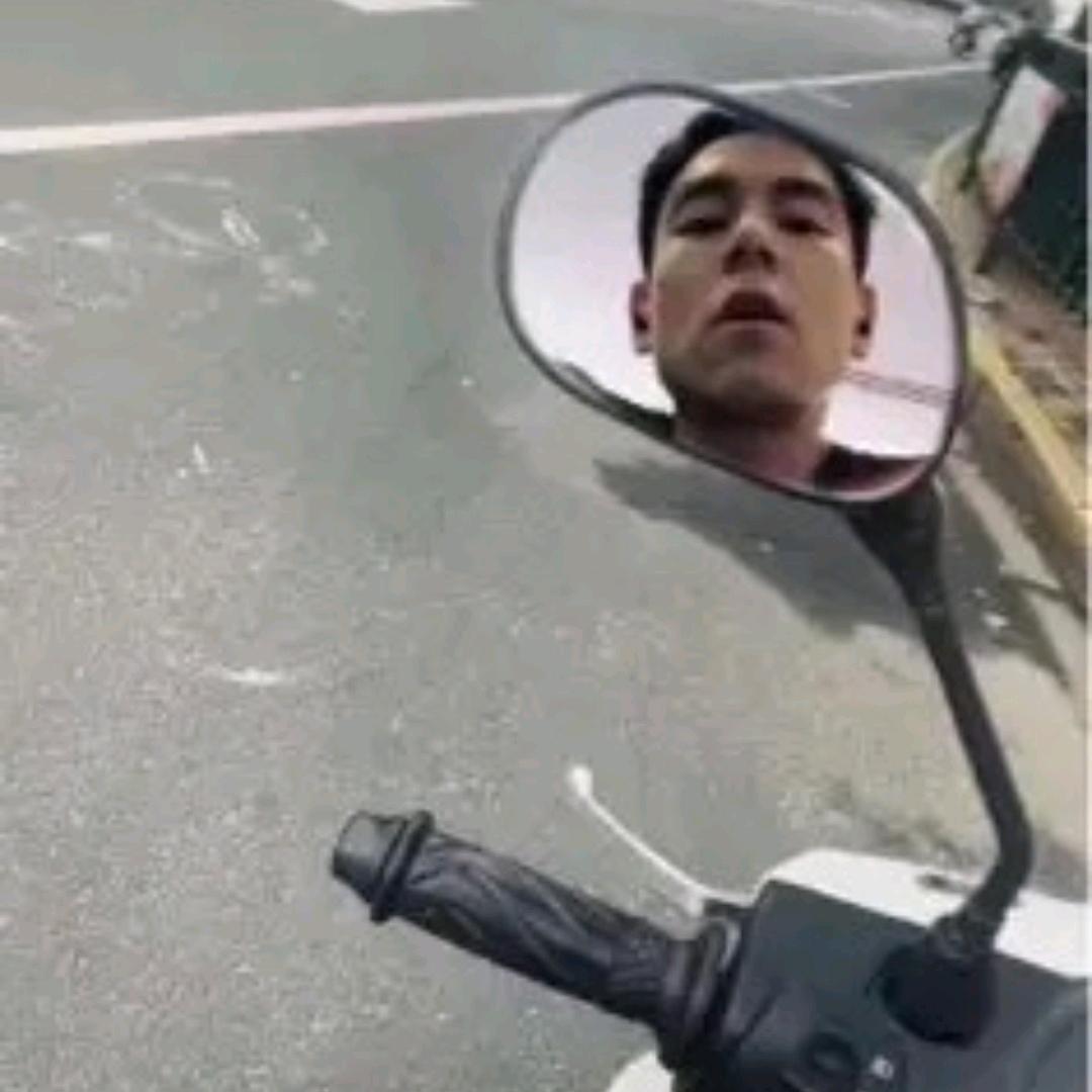 蟑螂恶霸（自律版）