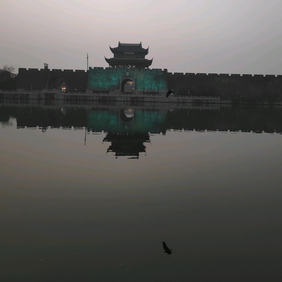 毫末蜉蝣