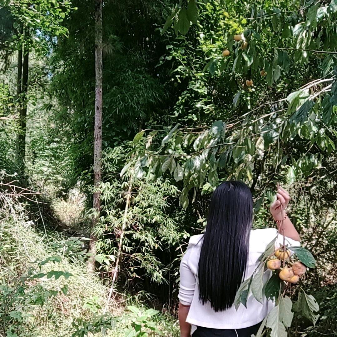 开心每一天,