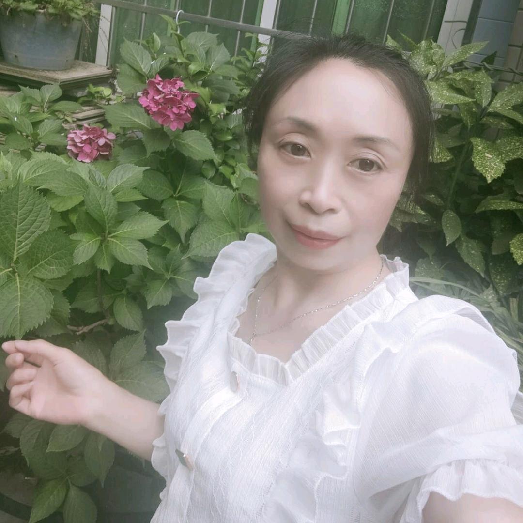 红月2红月（12月25号早上9：20首播