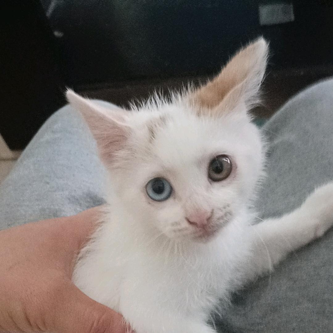 宜昌手丝馒头餐饮店