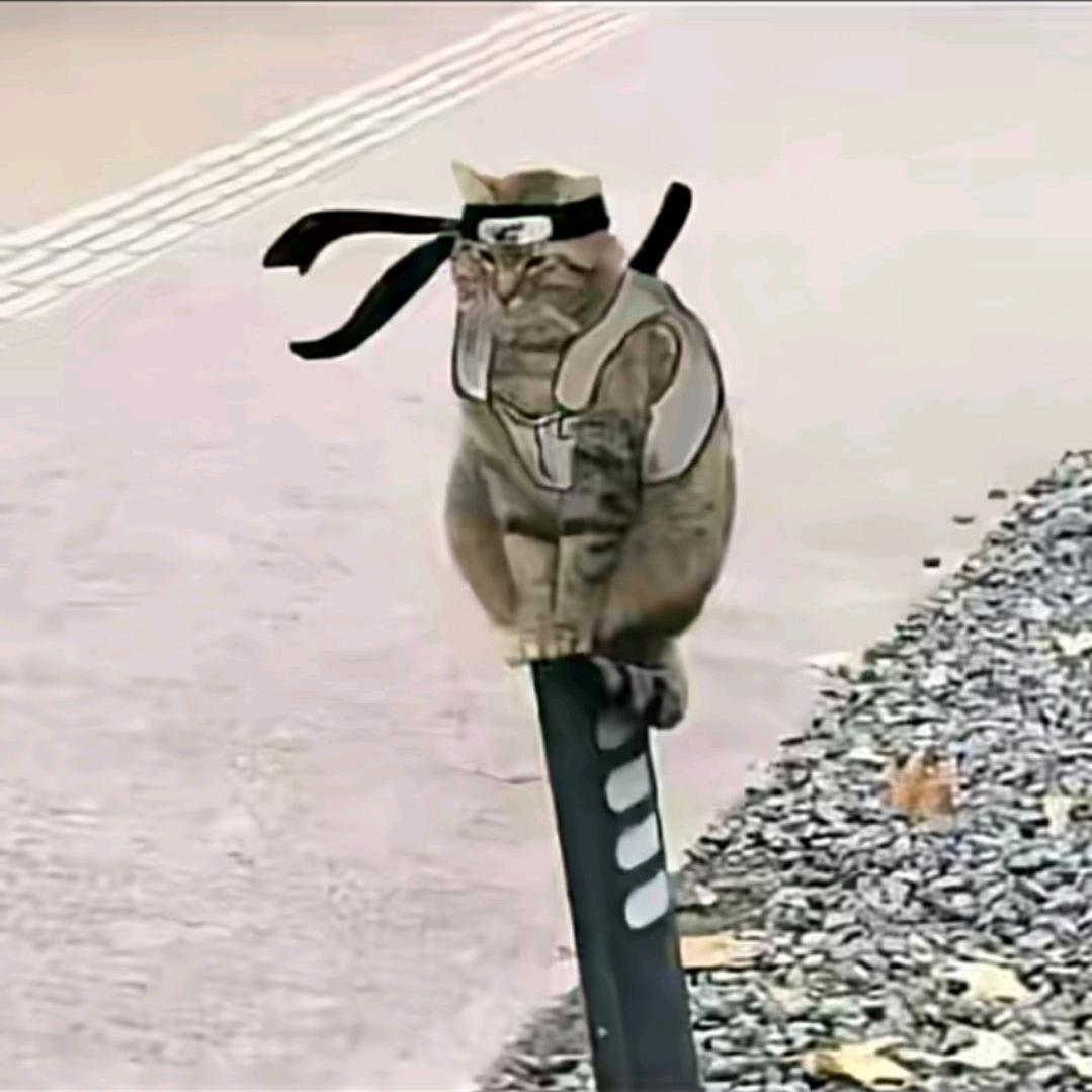 无限螺旋弹跳弼马温大闹芝加哥免费停车场