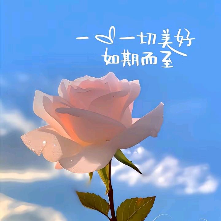 (❁乐´◡`悠❁)*✲ﾟ*
