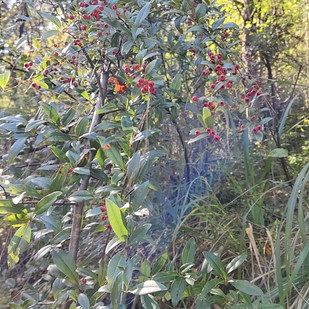 私信可以找到老王