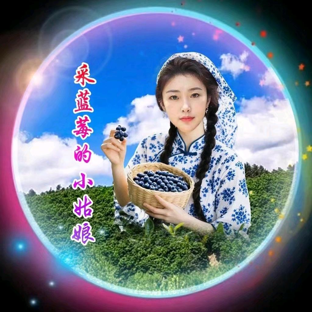 绿野仙踪123+