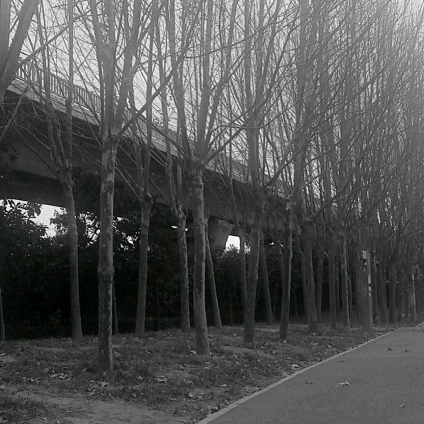 500年后附榄梓剧骨骼不发笑笑出皱纹