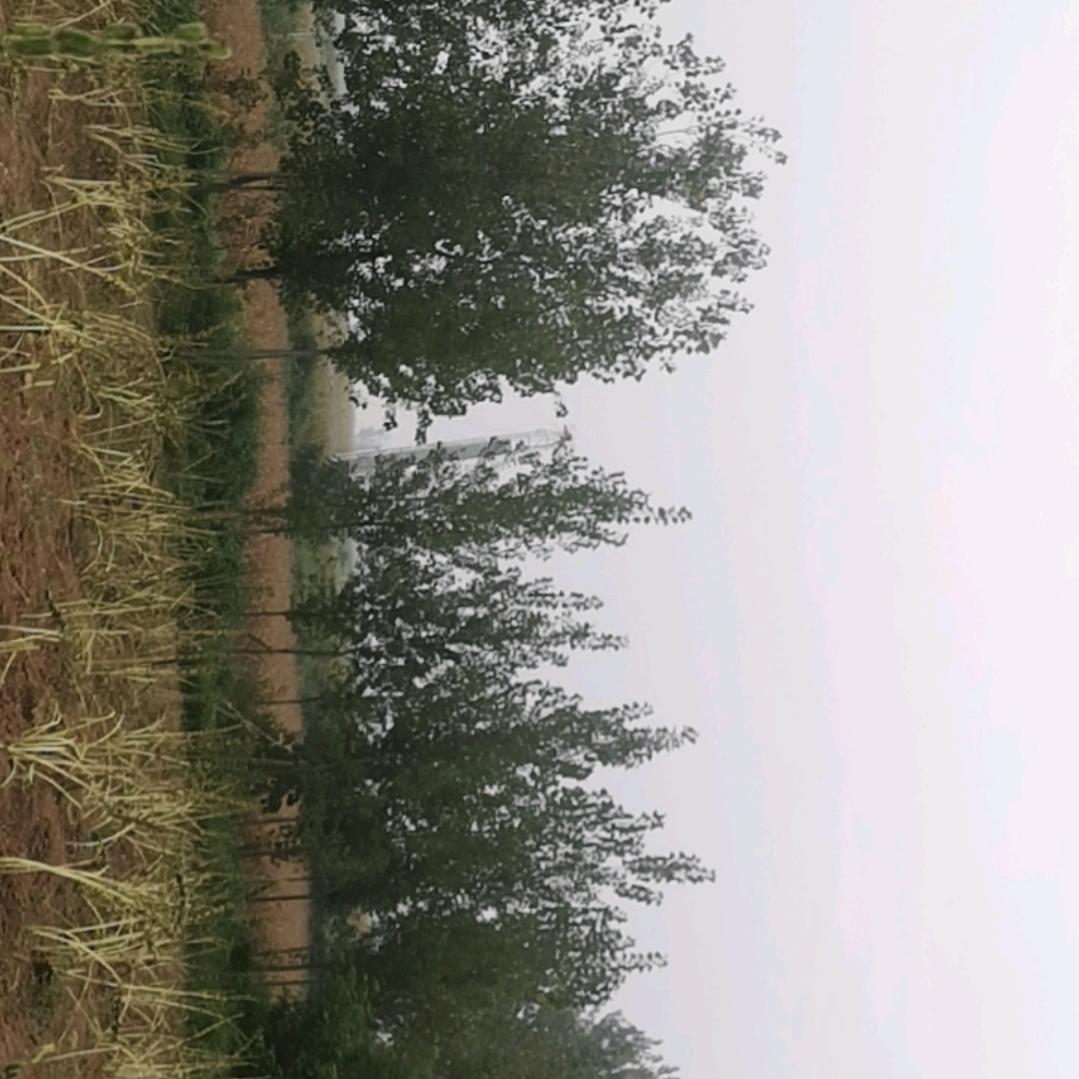 用户5051896609455