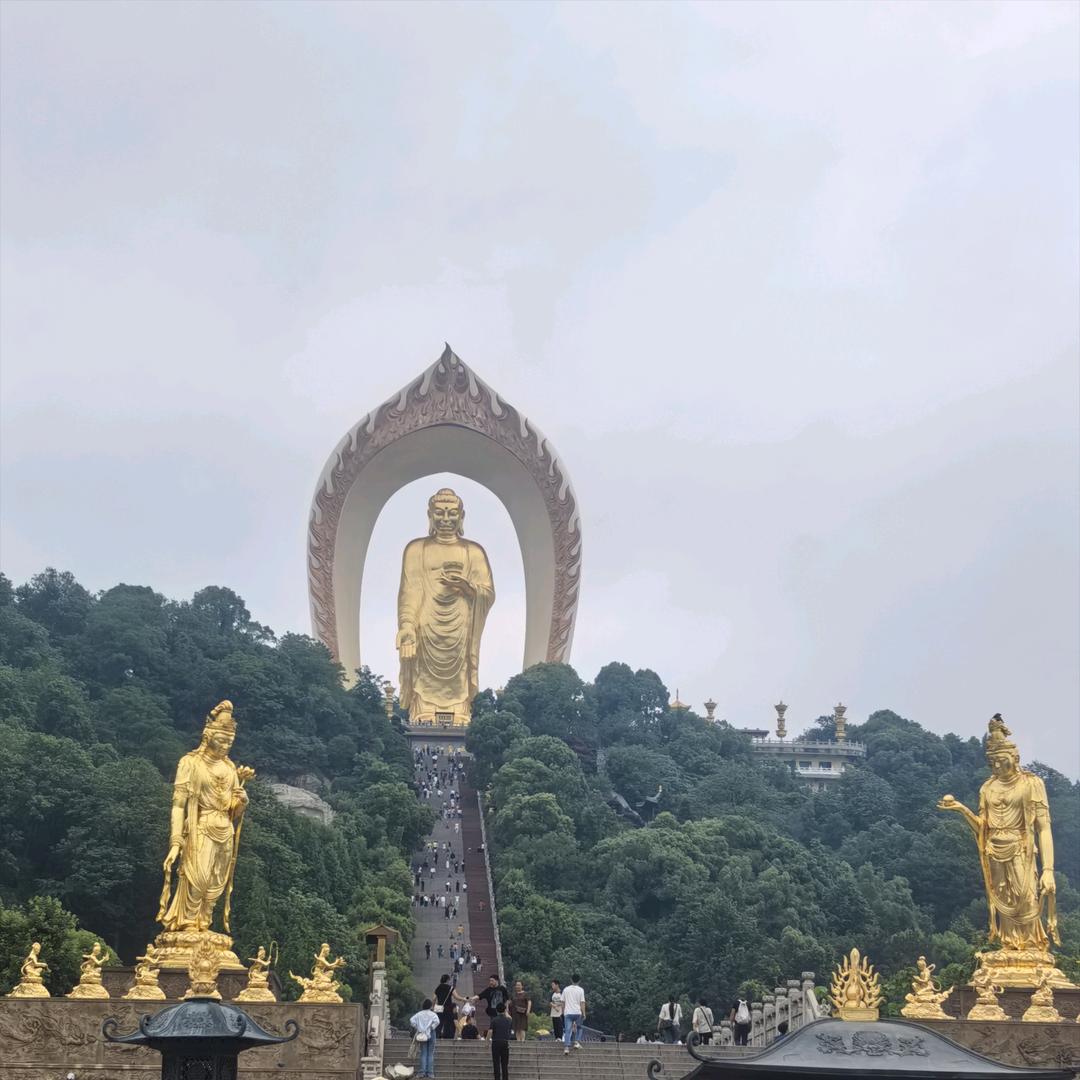 陈维